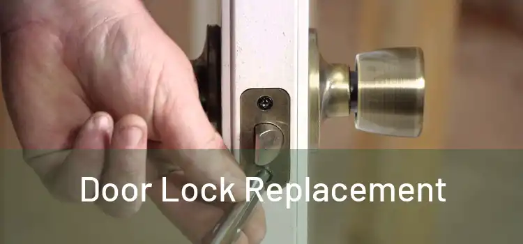  Door Lock Replacement 